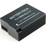 Power Energy Battery DMW-BLC12,…