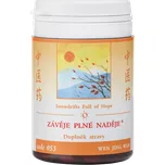 TCM Herbs Závěje plné naděje 100 tbl.