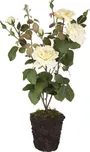 Lene Bjerre dekorační keř růže 85 cm