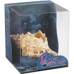 Hydor Dekorace Mušle H2Show