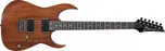 Ibanez RG421 MOL