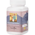 TCM Herbs Nápoj čínských mudrců