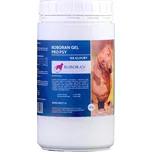Roboran Gel pro psy