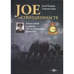 Joe od třistajedenácté: Životní příběh…