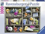 Ravensburger Gelini: V knihovně 1000…