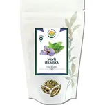 Salvia Paradise Šalvěj list
