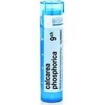 Boiron Calcarea Phosphorica 9CH 4 g