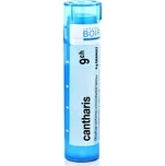 Boiron Cantharis 9CH 4 g