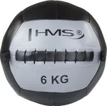 HMS Wall Ball WLB