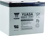 Yuasa REC80-12I (12V/80Ah)