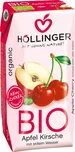 Hollinger Bio Nektar jablko/višeň 200 ml