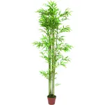 EuroPalms Bambus v hnědém květináči 180…