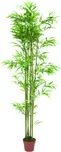 EuroPalms Bambus v hnědém květináči 180…