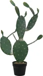 Europalms Nopal kaktus 76 cm