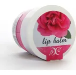 Hristina Přírodní balzám na rty…