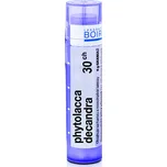 Boiron Phytolacca Decandra 30CH 4 g