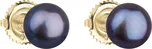 Evolution Group 921004.3