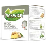 Pickwick Herbalis Nachlazení 10 sáčků
