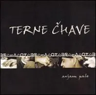 Avjam Pale - Terne Čhave [CD]