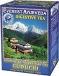 Everest Ayurveda Guduchi 100 g