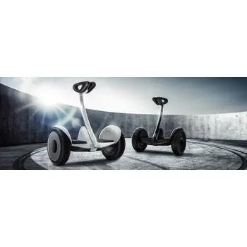 hoverboard Ninebot Xiaomi Mini