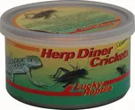 Lucky Reptile Herp Diner velcí cvrčci…