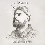 What a Time to Be Alive - Tom Walker…