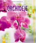 Orchideje: Exoty pro snadné pěstování v…