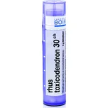 Boiron Rhus Toxicodendron 30CH 4 g