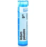 Boiron Ledum Palustre 9CH 4 g