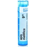 BOIRON Apis Mellifica 9CH 4 g