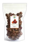 Salvia Paradise Mýdlové ořechy 250 g