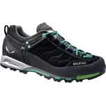 Salewa MS MTN Trainer GTX černá
