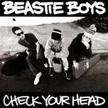 Check Your Head (Deluxe Version) –…