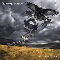 Rattle That Lock - David Gilmour [CD]