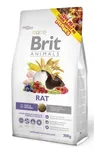 Brit Animals Rat 