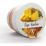 Hristina Přírodní balzám na rty ananas…