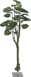 Europalms Pothos stromek 175 cm