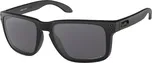 Oakley Holbrook XL OO9417-05 černé