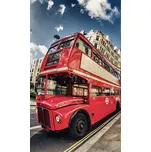 Dimex MS-2-0017 150 x 250 cm