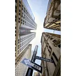 Dimex MS-2-0011 150 x 250 cm