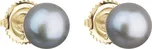 Evolution Group 921004.3