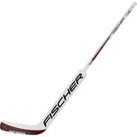 Fischer GF550 INT 24" flex 41 P