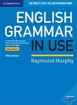 English Grammar in Use: Book with…