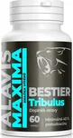 Alavis Maxima Bestier Tribulus 2 x 60…