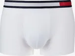 Tommy Hilfiger UM0UM01370 S