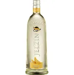 Divine Vodka Melon 15% 1 l