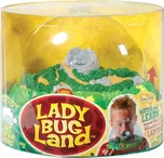 Insect Lore Bug Land Pozorovatelna…