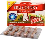 Terezia Company Bruslinky + bylinky…