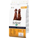 Schesir Adult Medium kuřecí